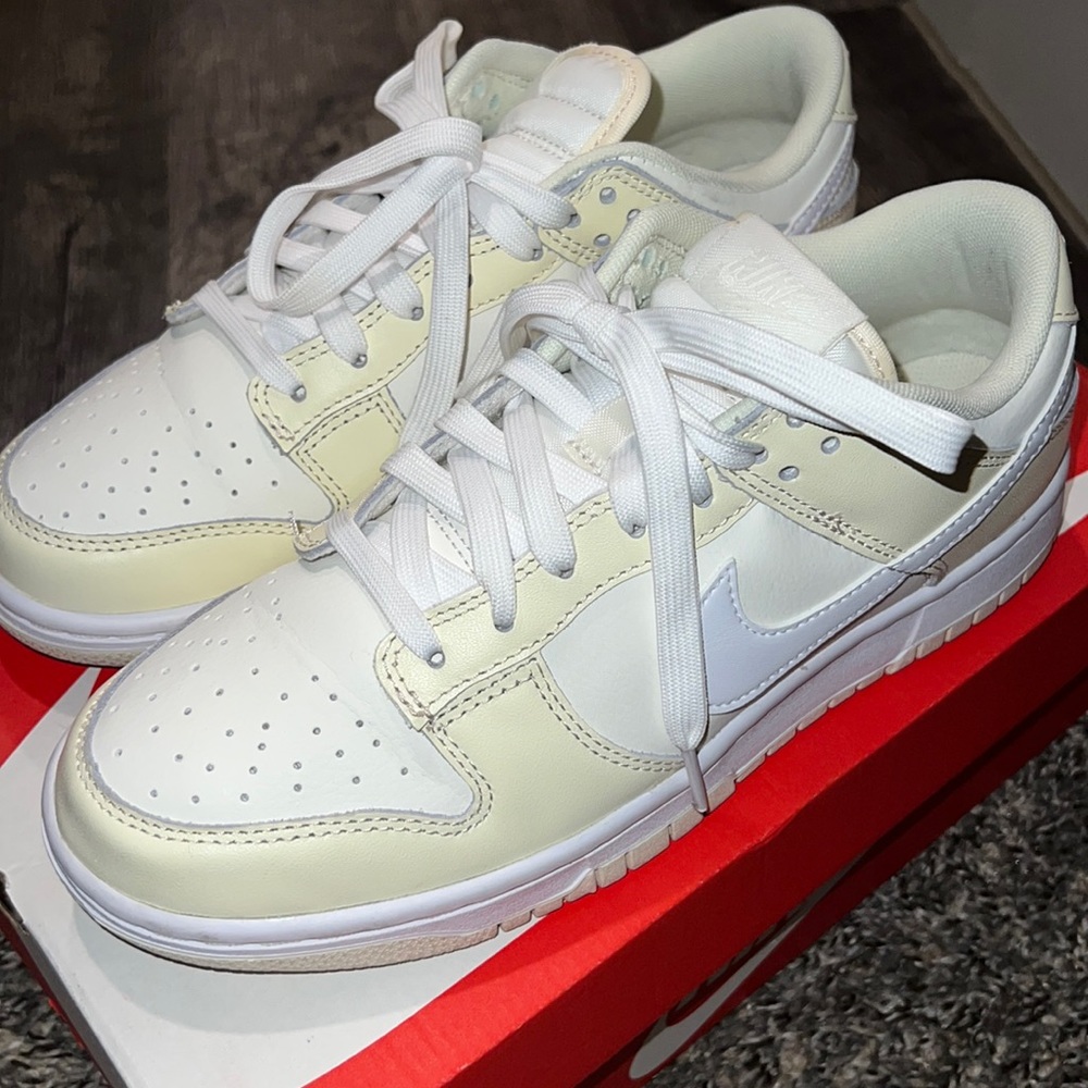 Nike Dunk Low-Retro